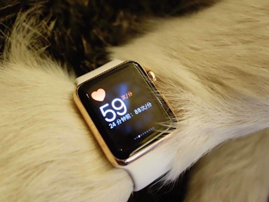Perro con Apple Watch